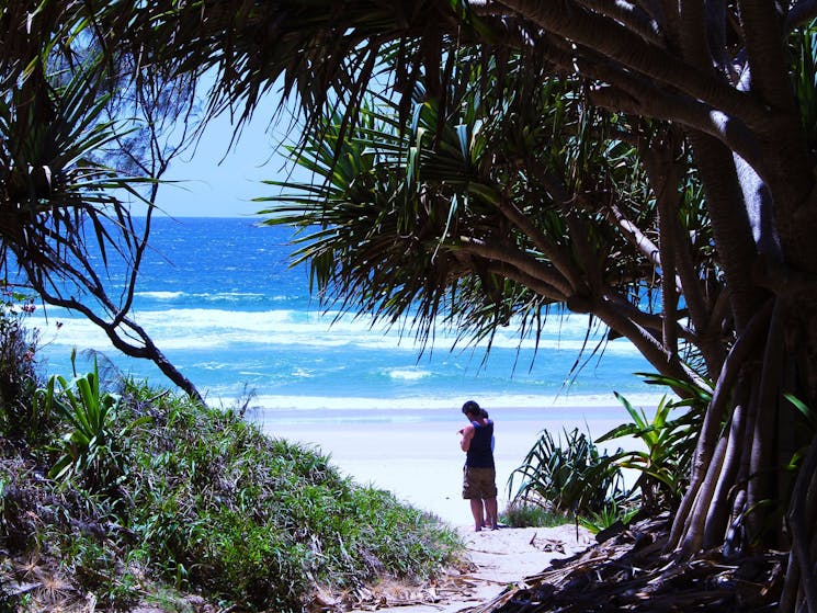 Locals checking the surf at Frazers Reef, Iluka.
