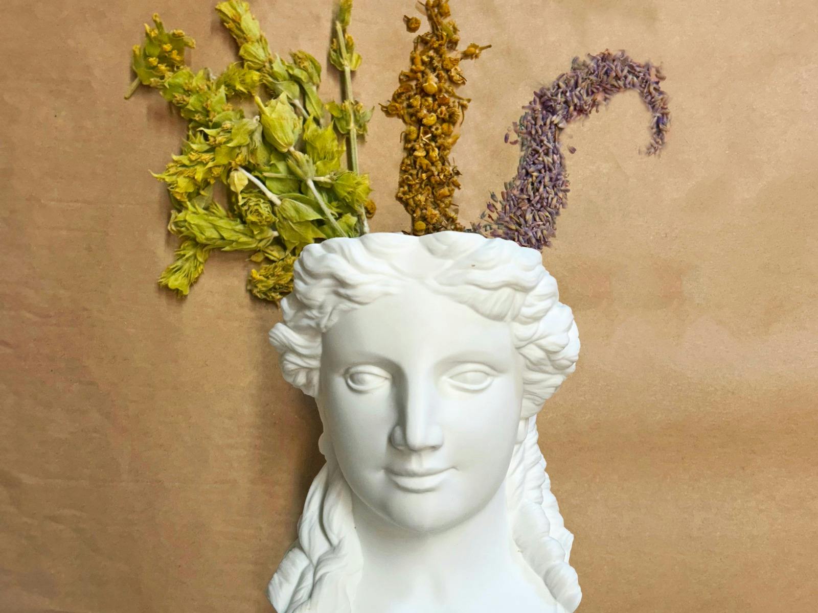 Magic and Medicine: Rituals of Wellbeing