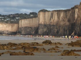 The Trail Running Series Race 2 - Anglesea Cover Image