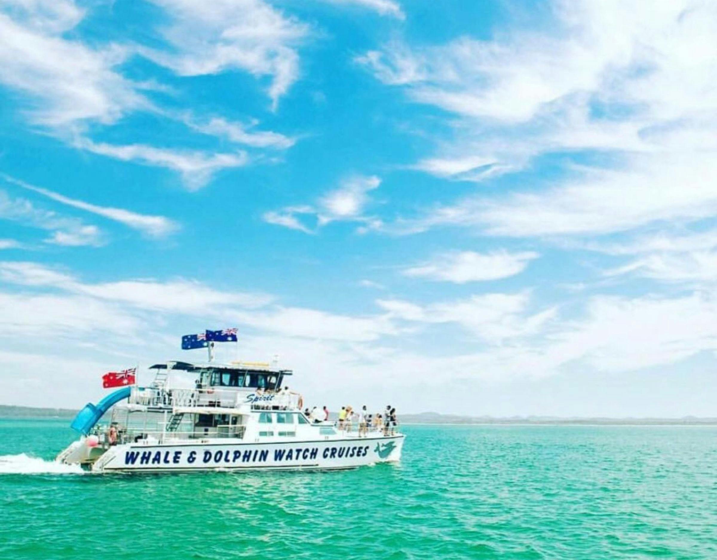 Port Stephens Whale Adventure, departing Newcastle | NSW Holidays ...