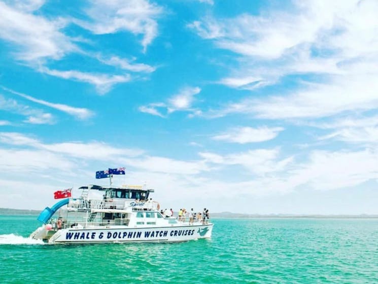 Port Stephens Whale Adventure, departing Newcastle | NSW Holidays ...