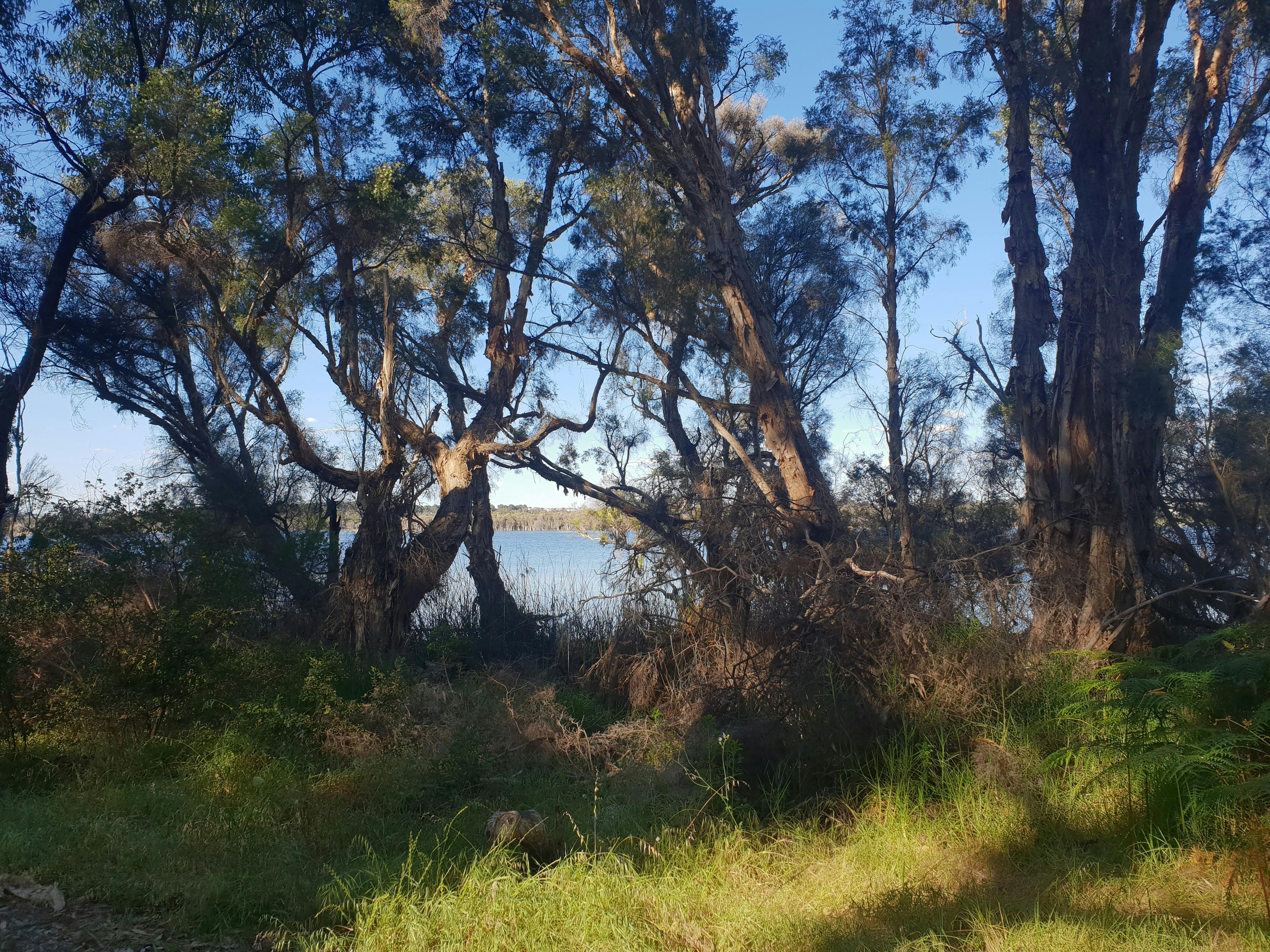 Lake2