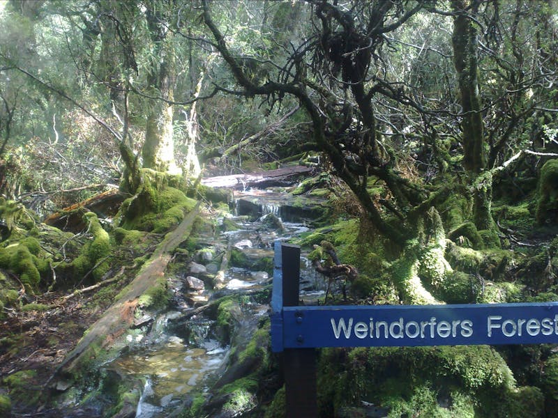 Cradle Mt Day Tour