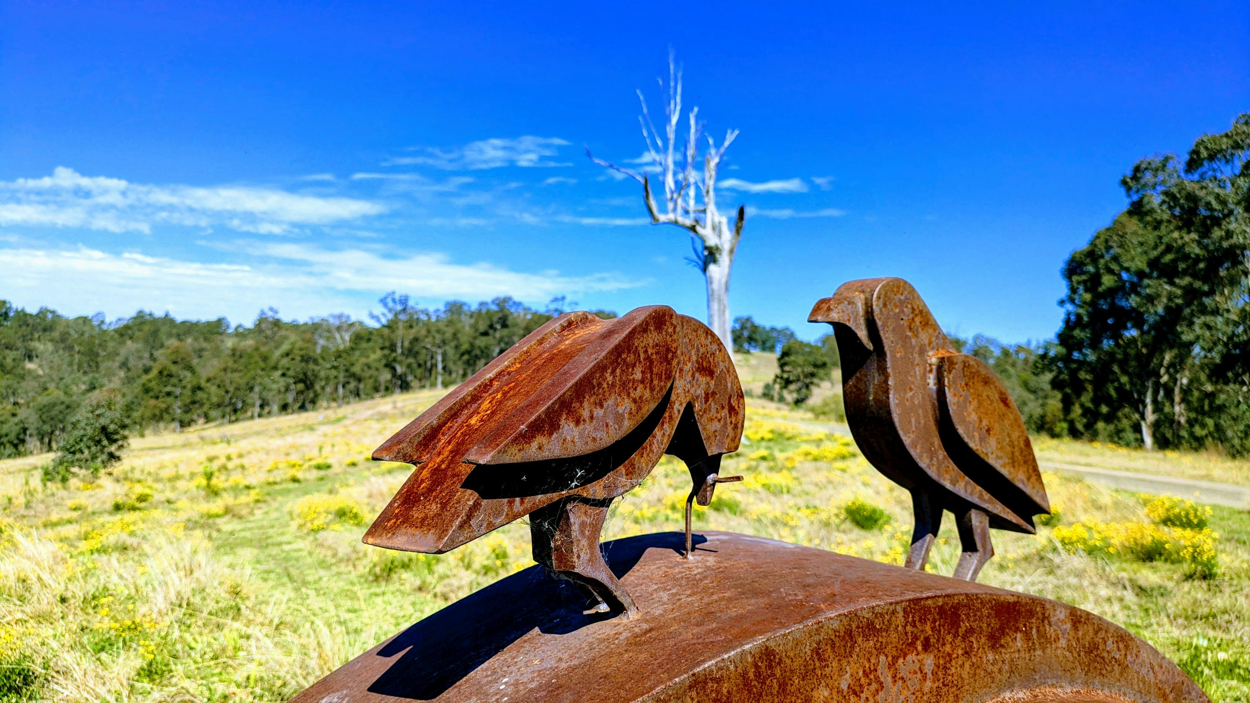 Collecting fur to line the nest 2 by Jimmy Rix made from corten steel. at Dungog Common
