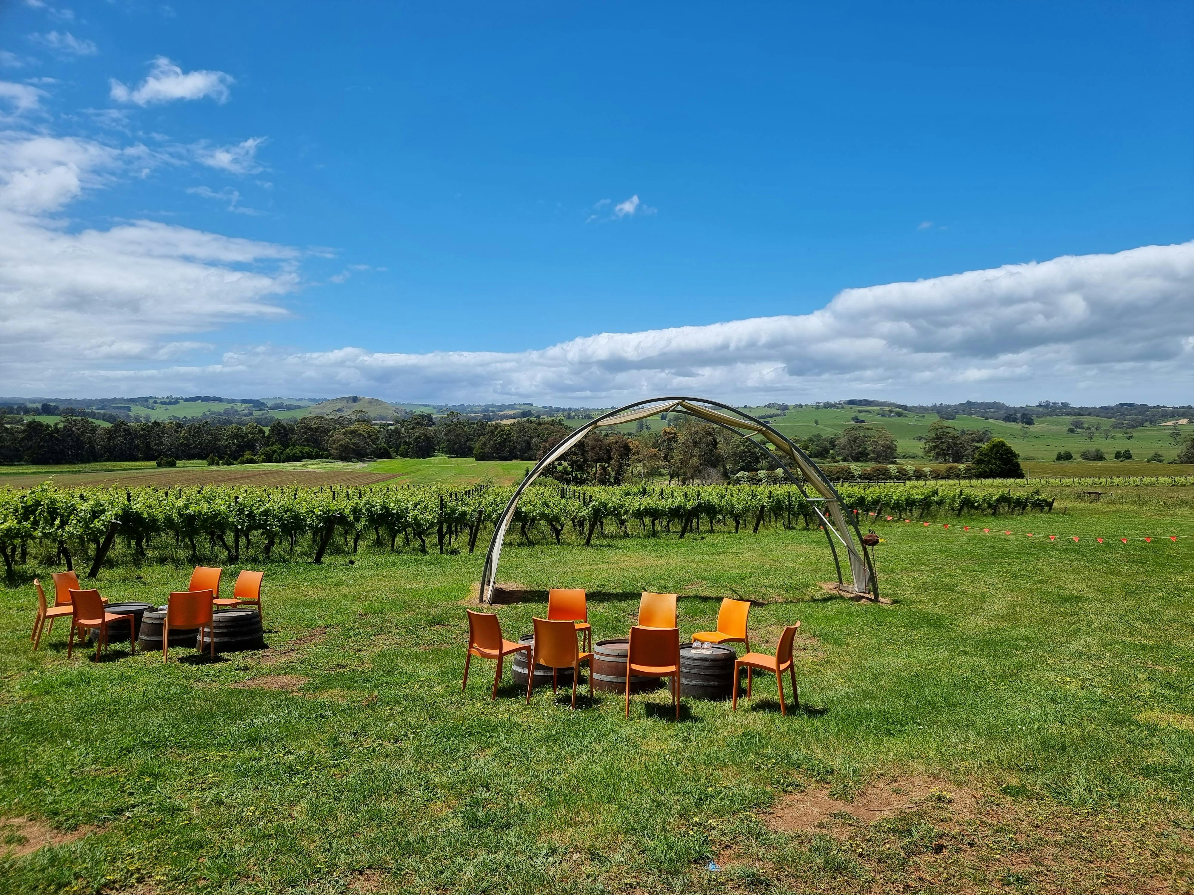 Phillip Island Wineries Experience Day tour