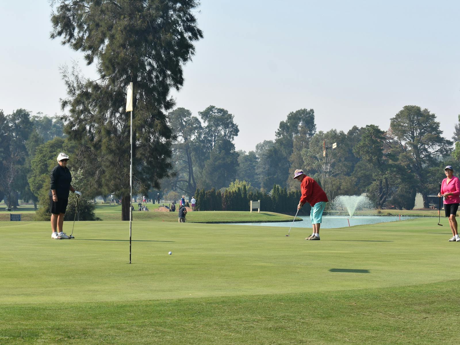 Image for NSW VGA Veterans Week of Golf