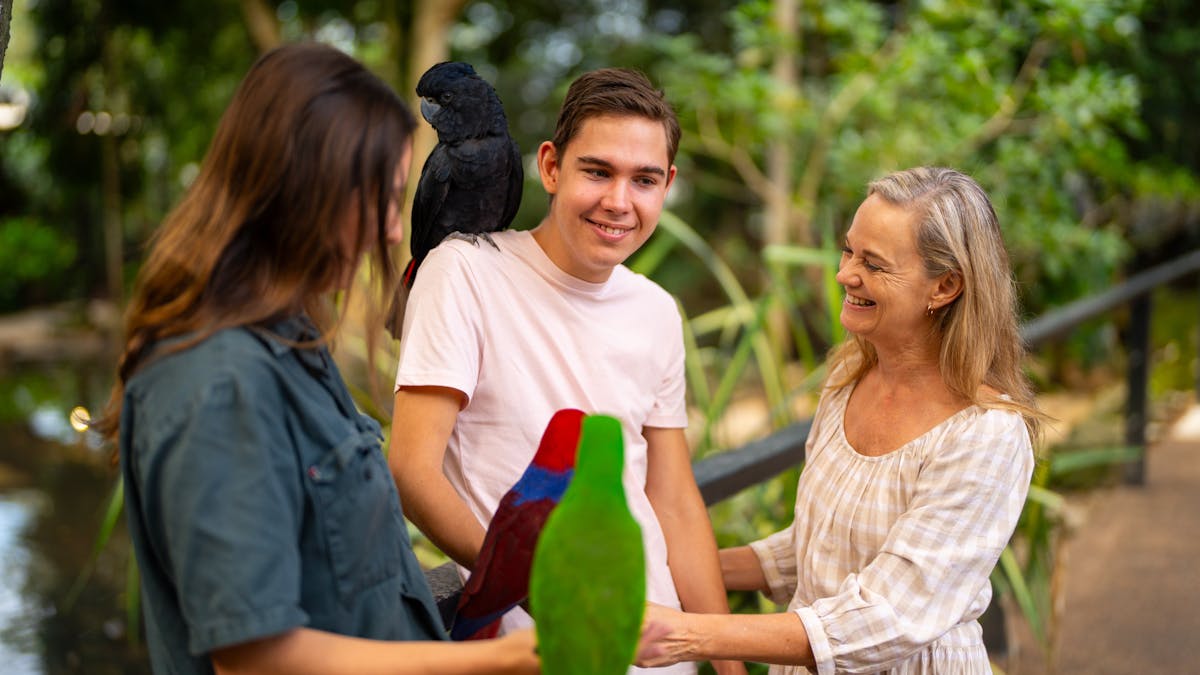 A wildlife keeper guiding two visitors to interact with two parrots at Wildlife Habitat Port Douglas