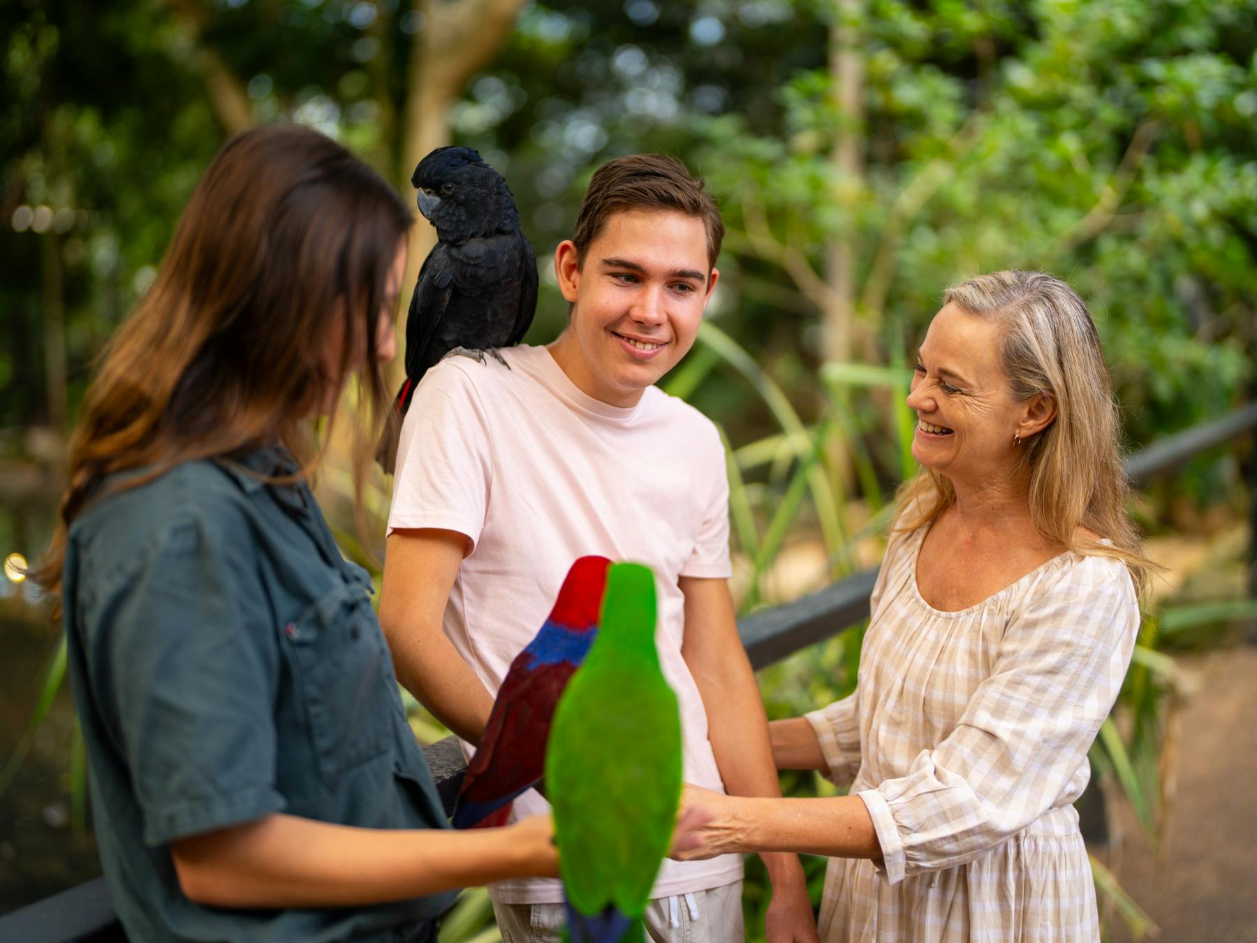 A wildlife keeper guiding two visitors to interact with two parrots at Wildlife Habitat Port Douglas