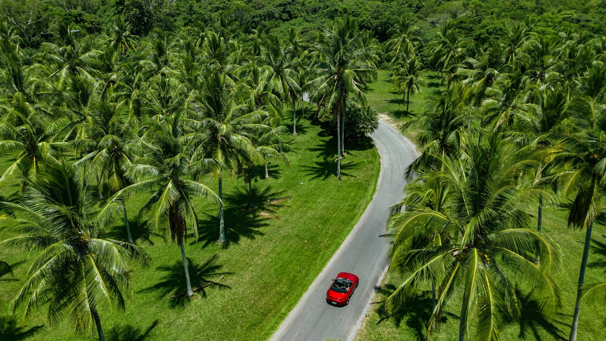 Topless Car Hire Driving through the Palms