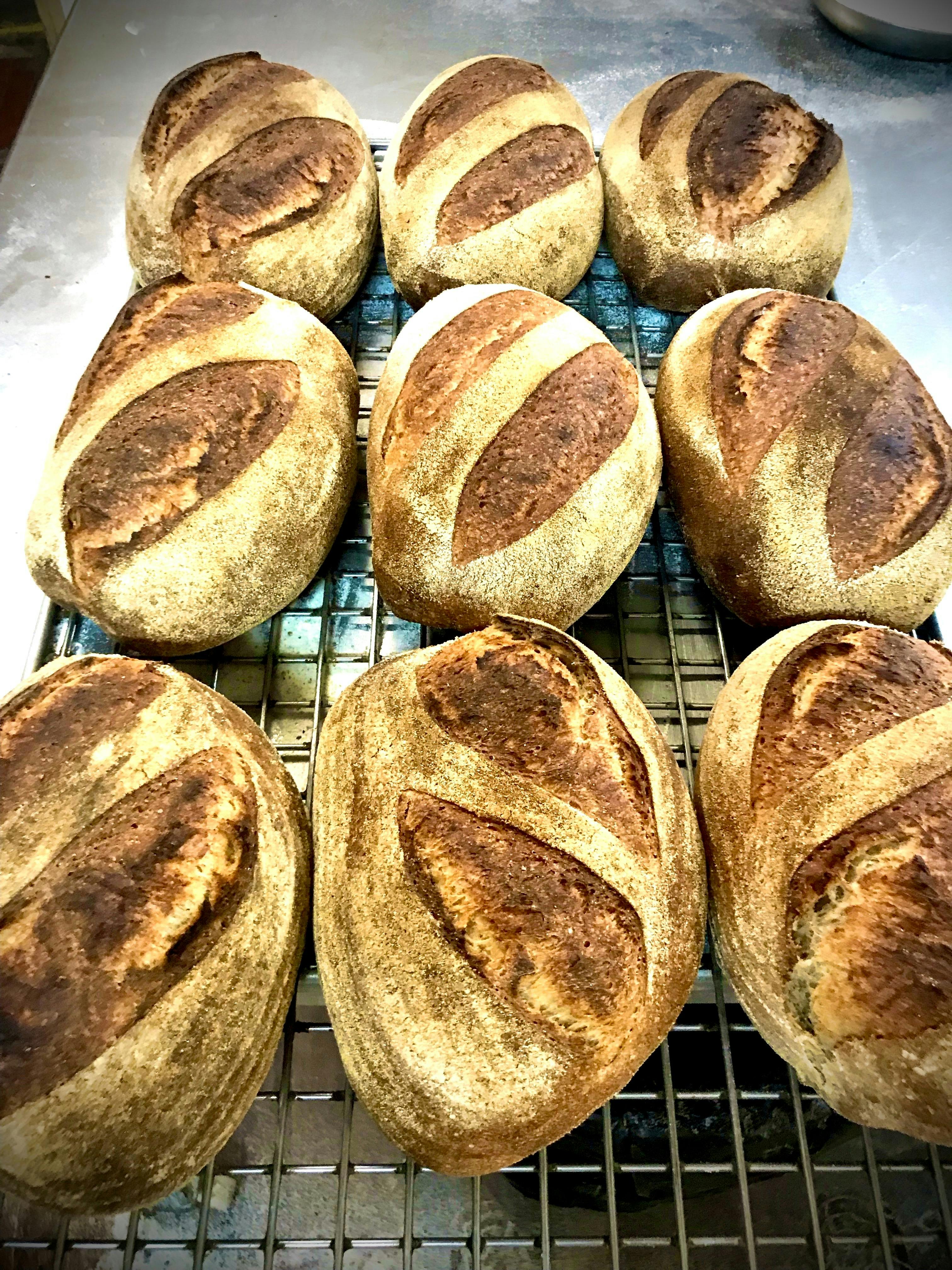 Maldon Bakery - fresh baked soughdough