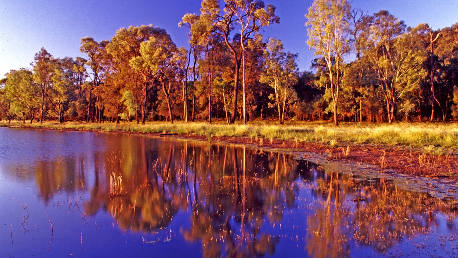 Nuga Nuga National Park