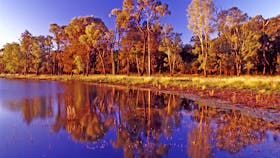 Dusk colours with forest reflection on water.