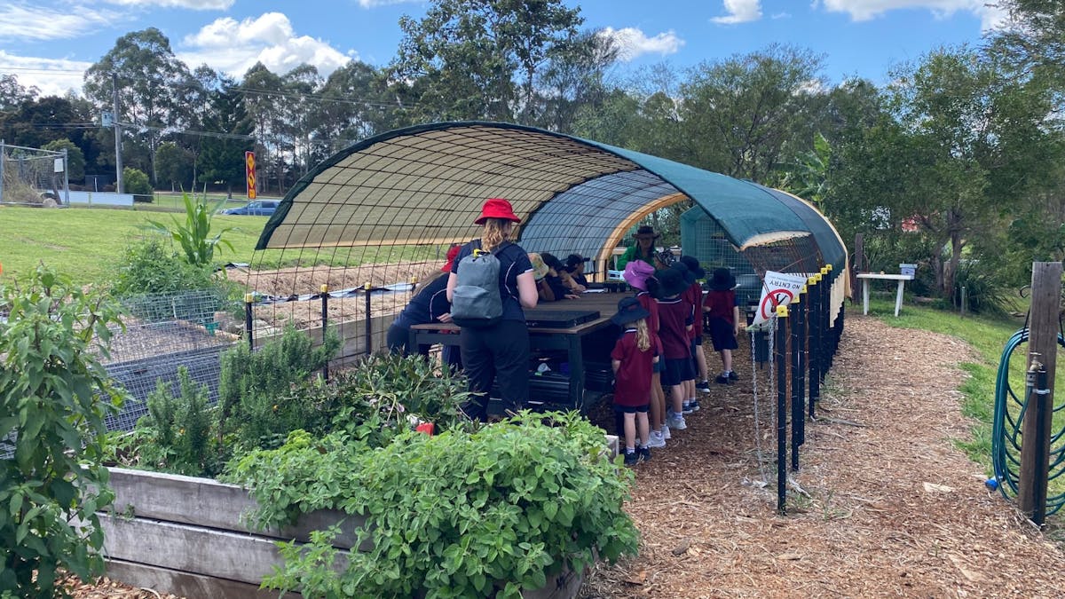 People on a herb tour