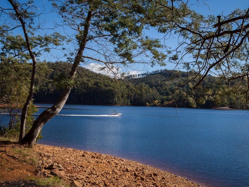 Lake Barrington - Discover Tasmania