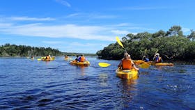 Tour group on the Myall River with Lazy Paddles