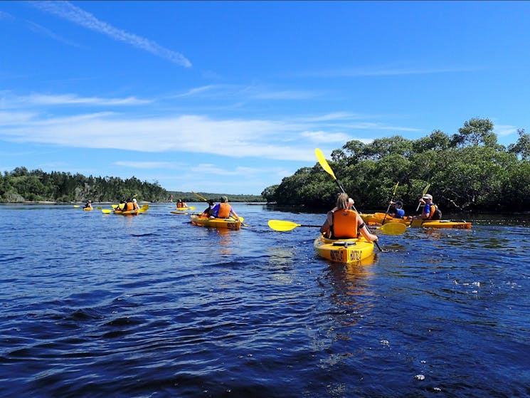 Tour group on the Myall River with Lazy Paddles