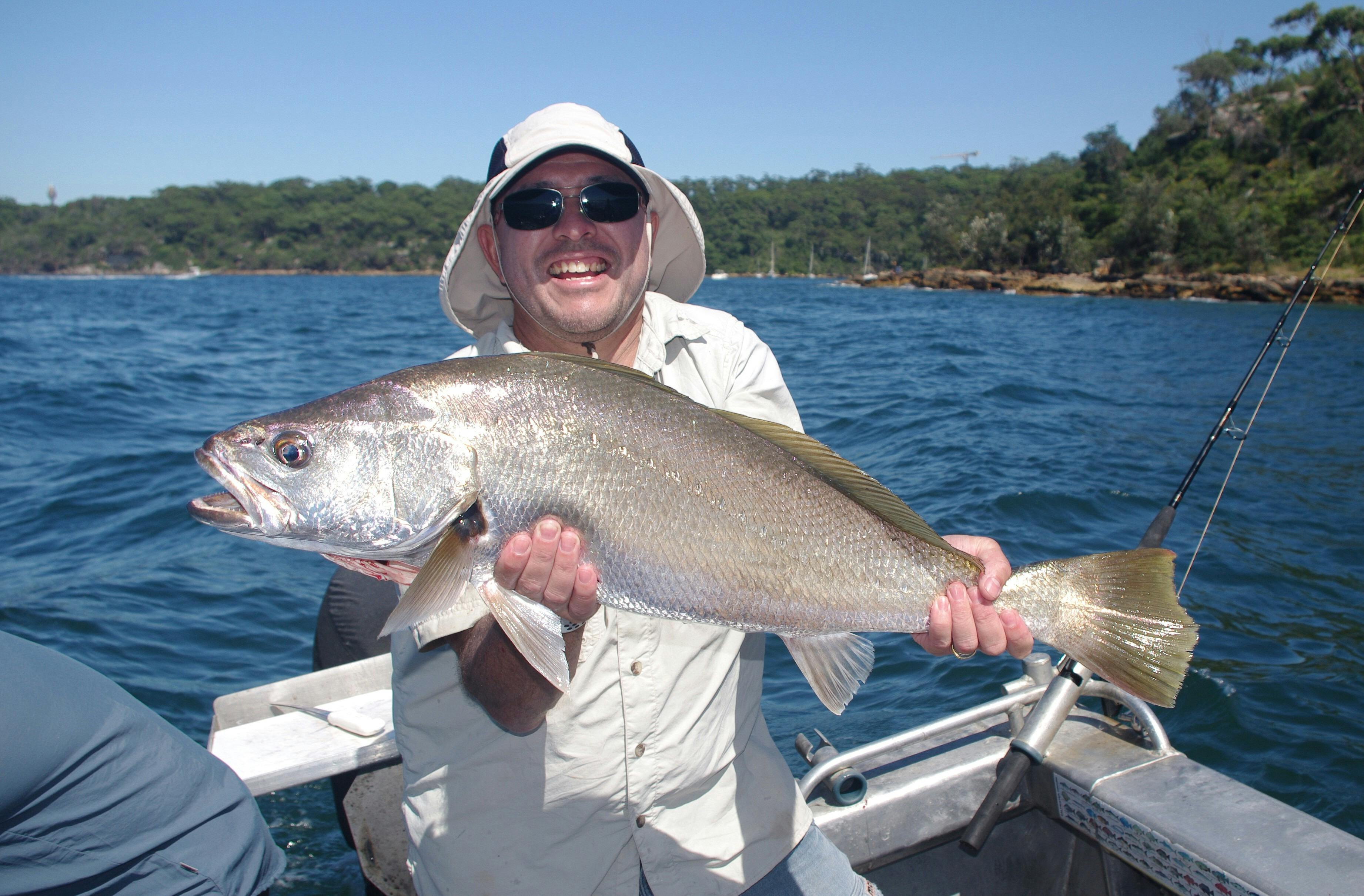Harbour Fishing Tour