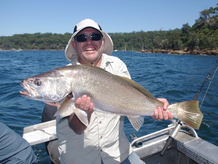 Harbour Fishing Tour  Sydney, Australia - Official Travel & Accommodation  Website