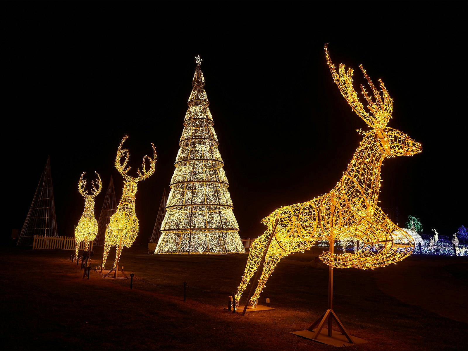 Life sized reindeer lights and a Christmas Tree at Christmas Fetsival of Lights