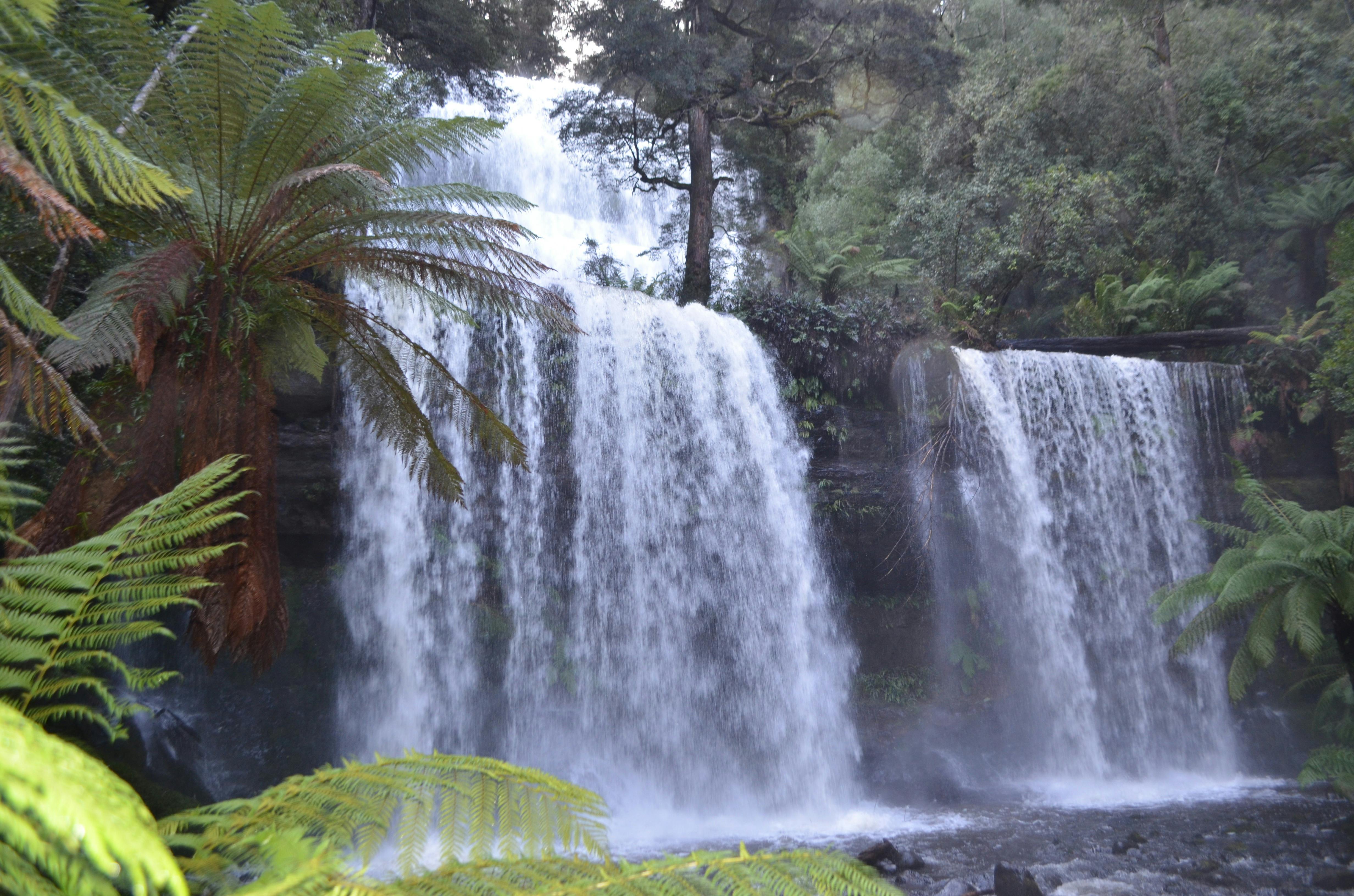 Tasmania without a car