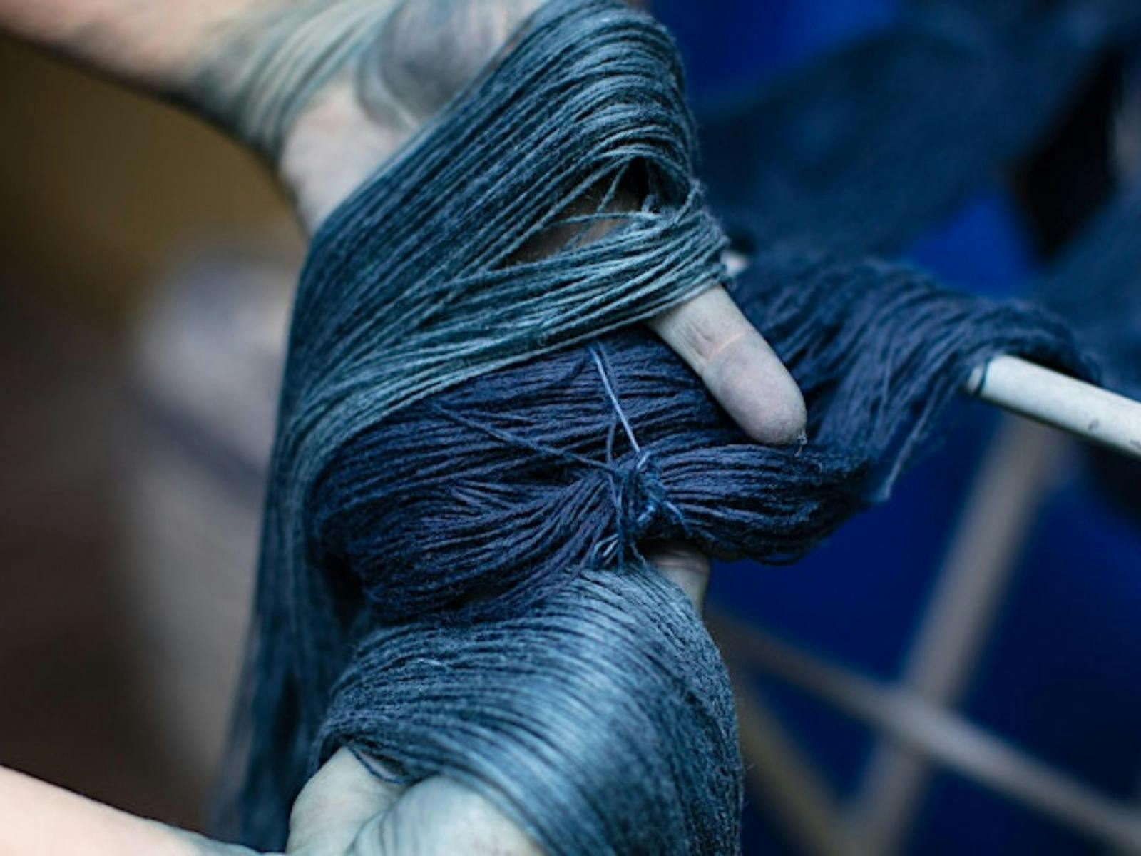 Introduction to Indigo Workshop at the Rare Trades Centre