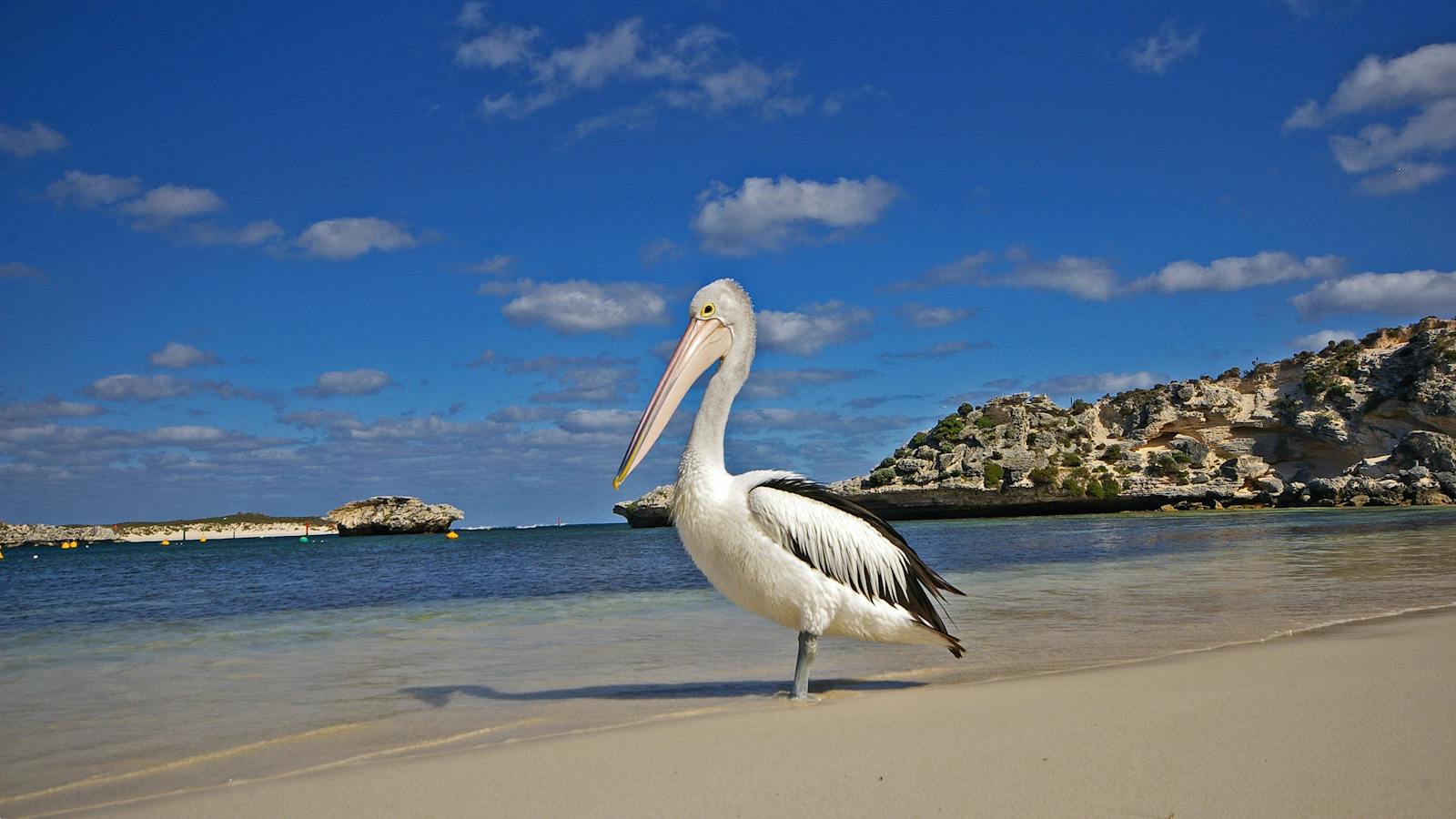 Rockingham Wild Encounters, Rockingham Beach, Western Australia