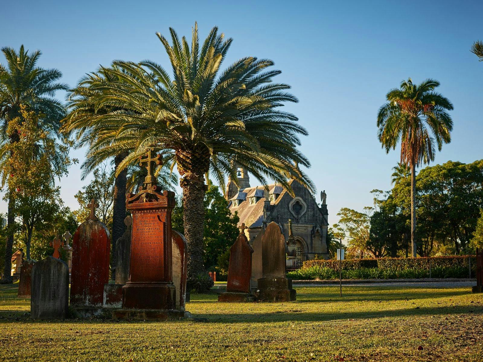 Historic graves, palm trees and chapel at Rookwood Cemetery .