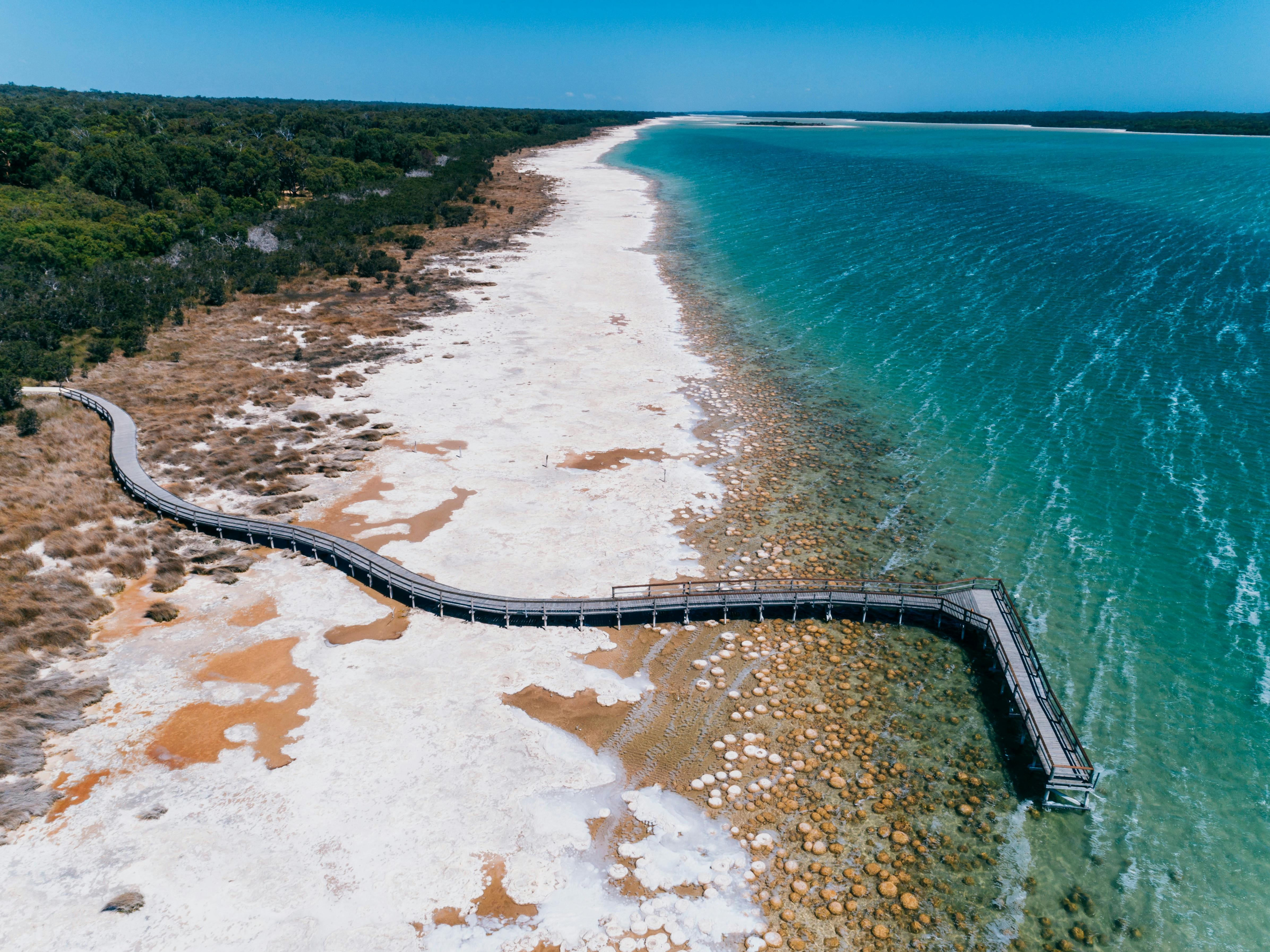 Lake Clifton Thrombolites