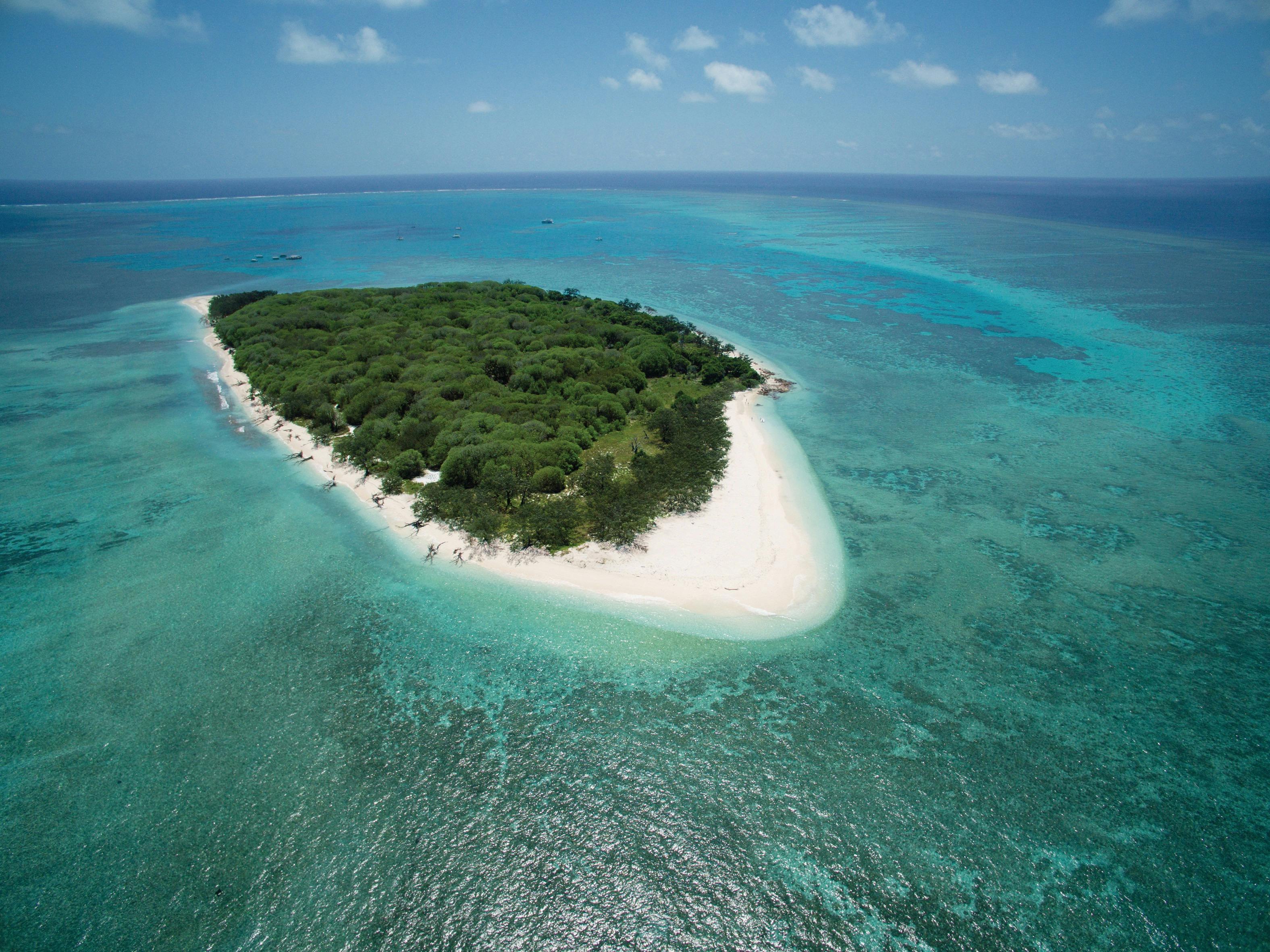 Lady Musgrave Island