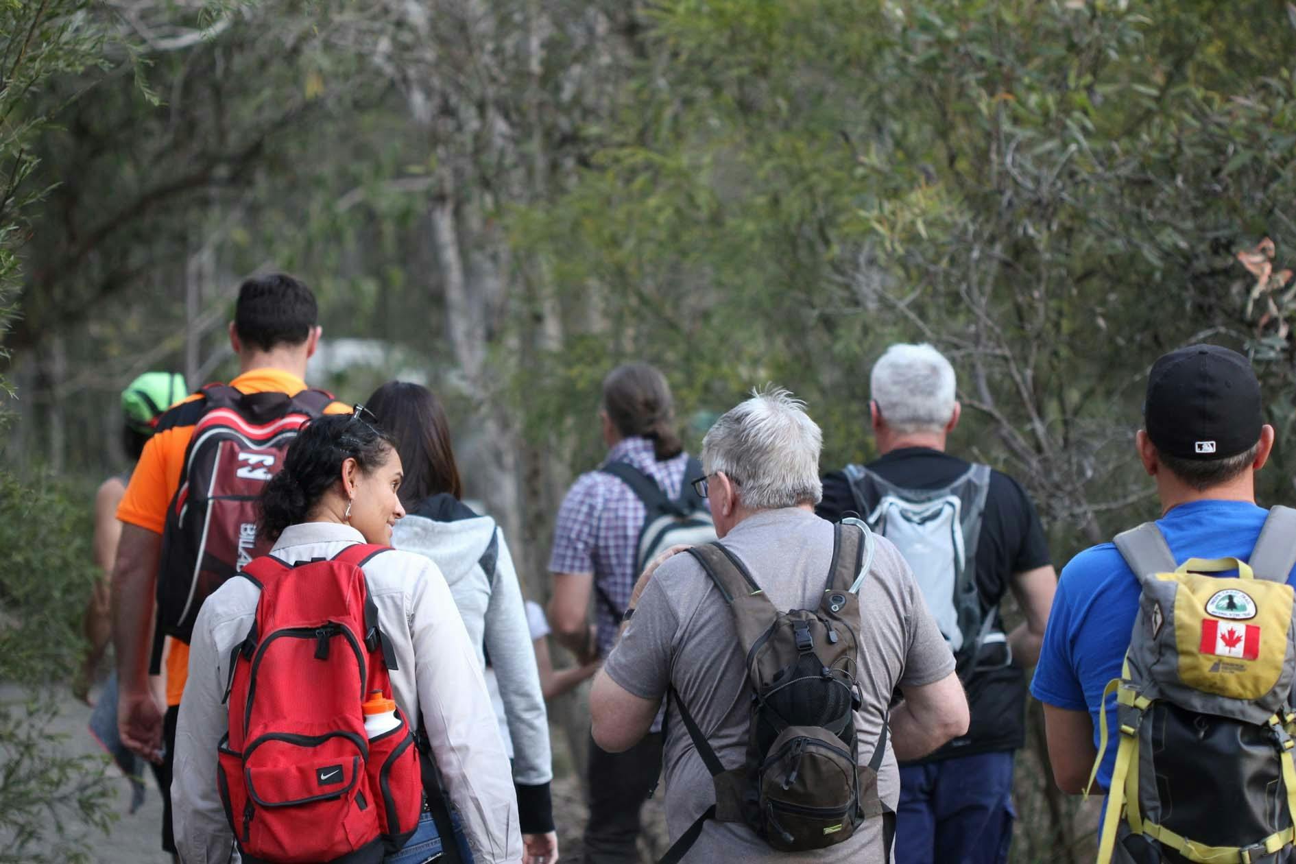 Nature Bush Walk at Stirling Road Reserve