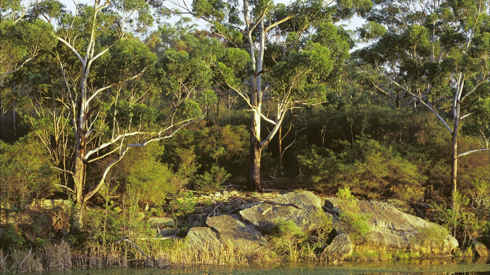 Lake Parramatta Reserve and recreation area