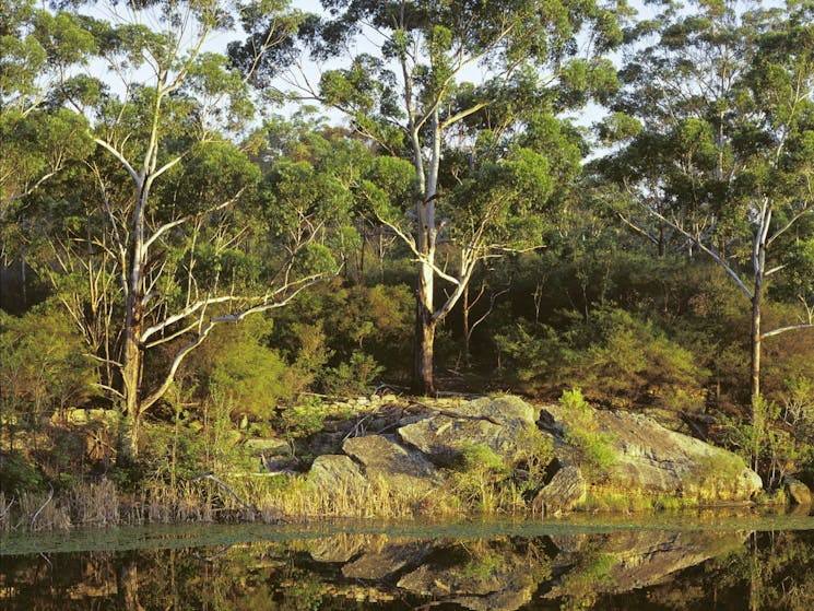 Lake Parramatta Reserve