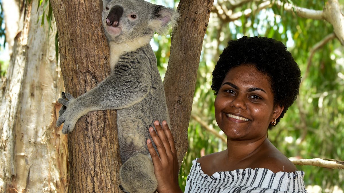 Pat a koala on a branch
