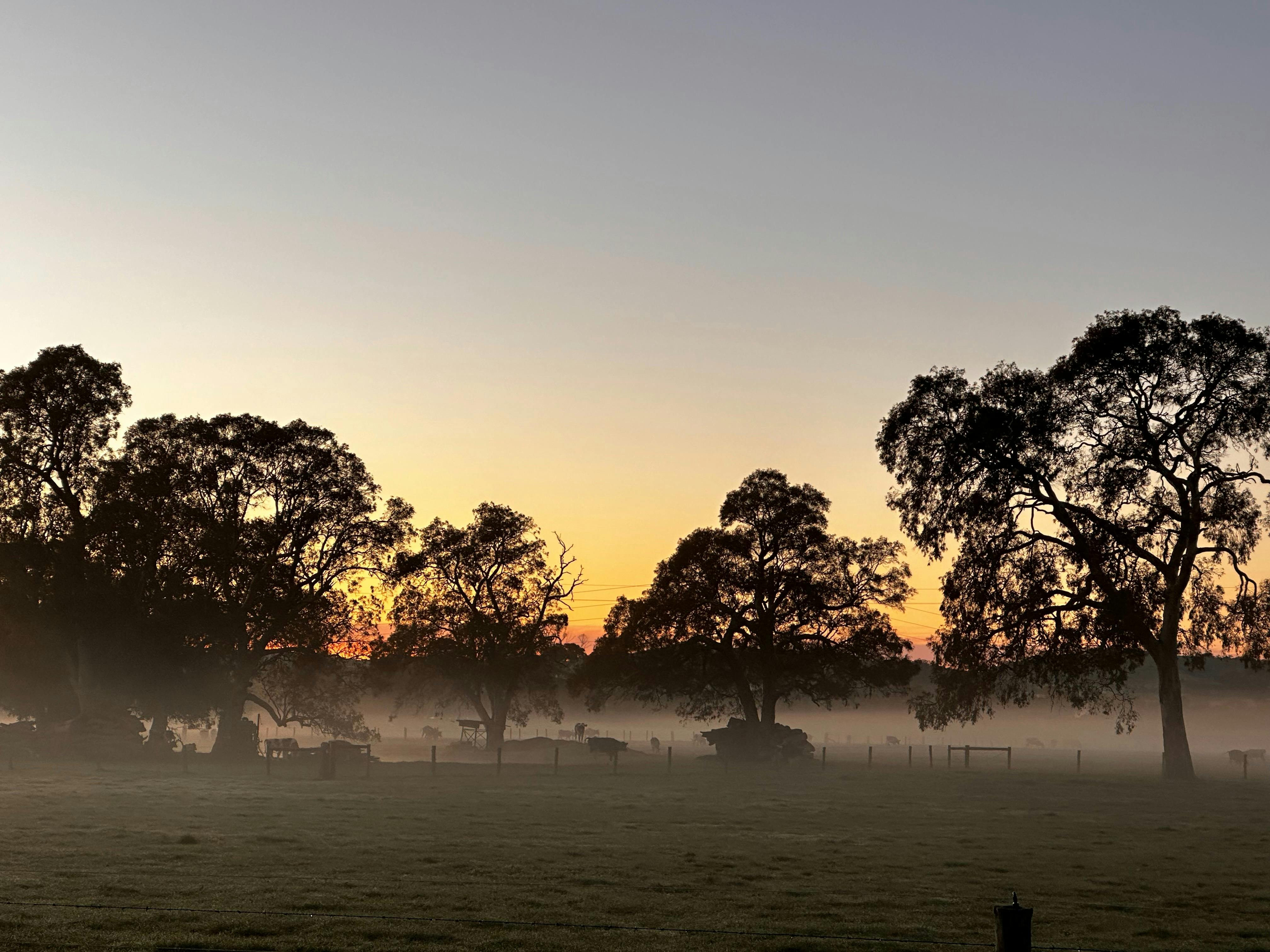 Morning sunrise views over the countryside