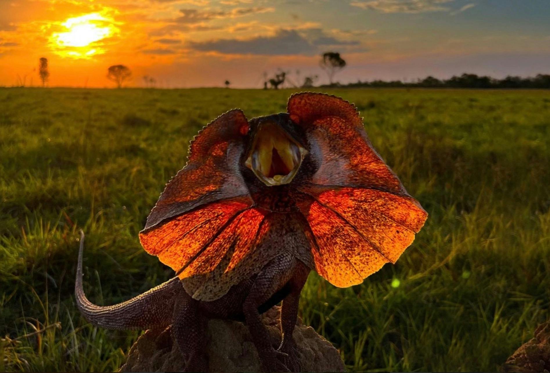 Outback Camp Day Tour