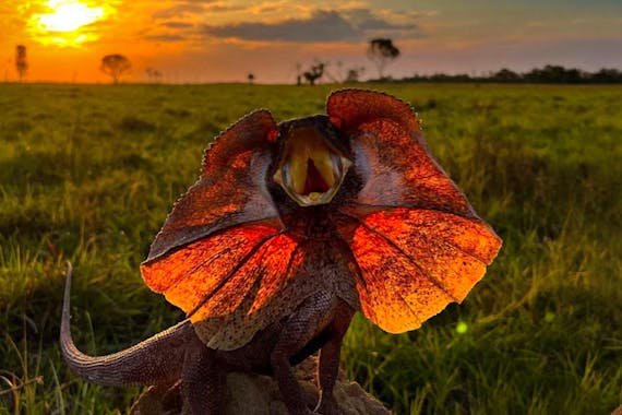 Outback Camp Day Tour