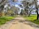 Gravel road, green grass, wattle tree, gum trees, paddock , cloudy sky with some blue patches