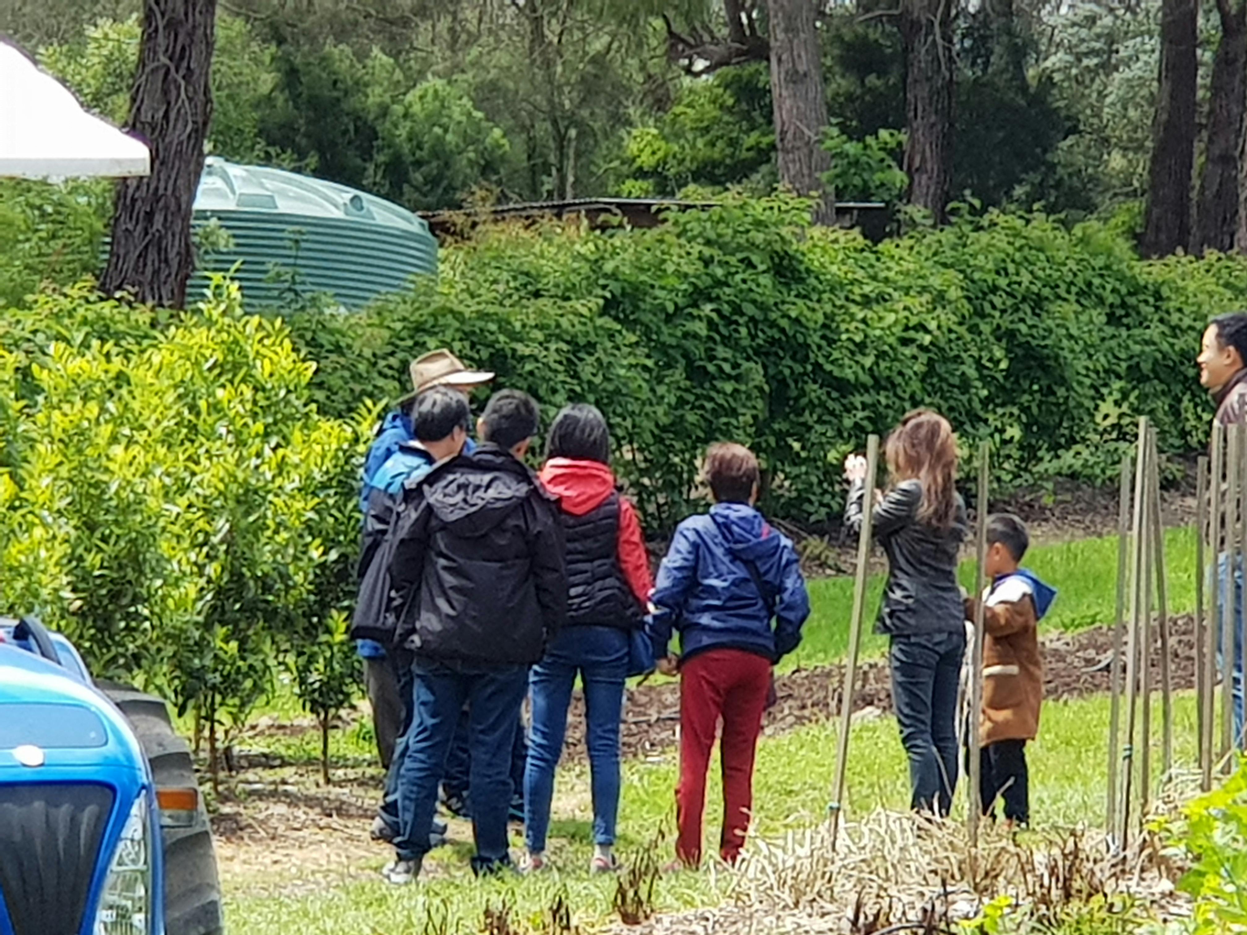 Rayners Orchard