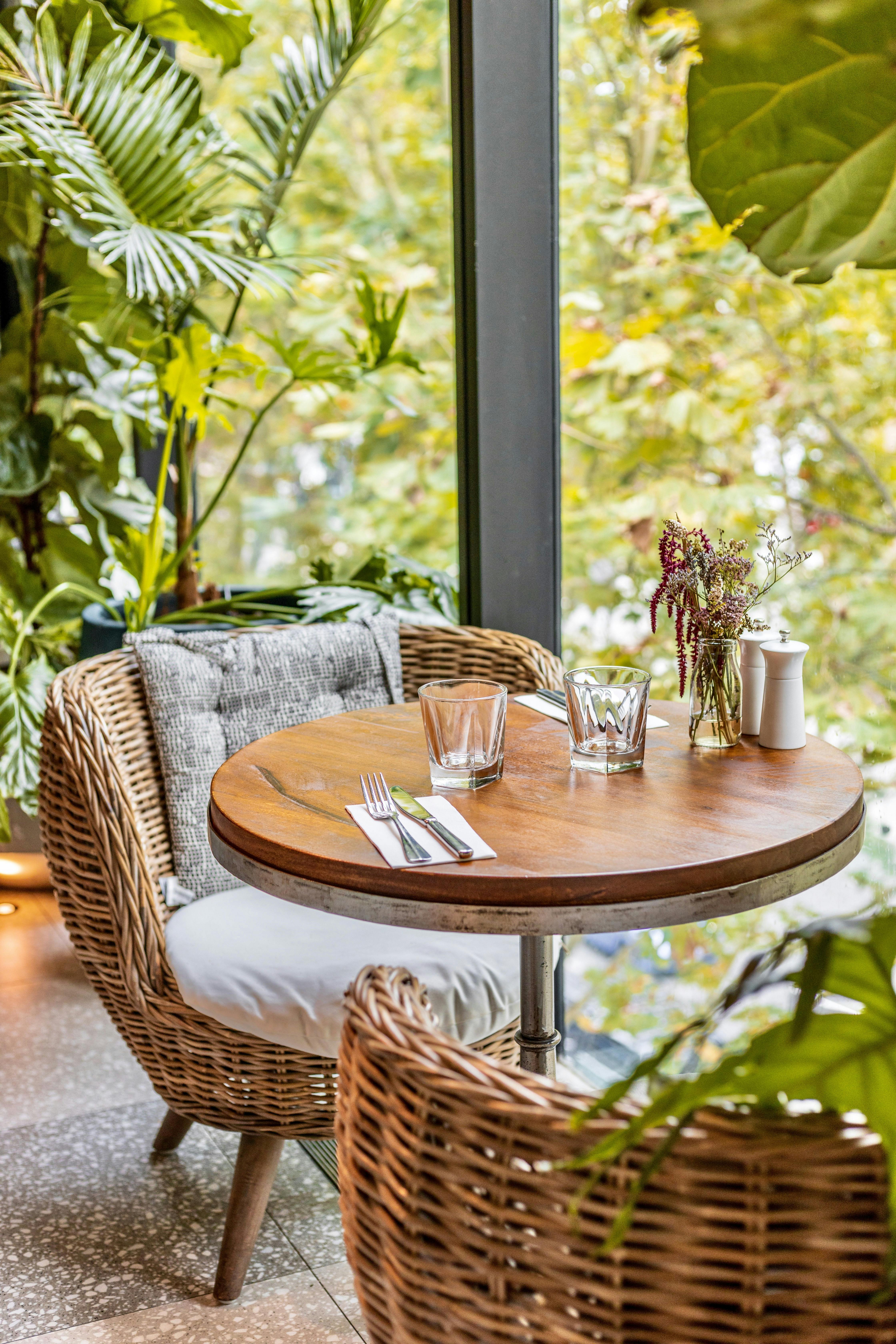 Beautiful leafy restaurant at Green Moustache in North Sydney