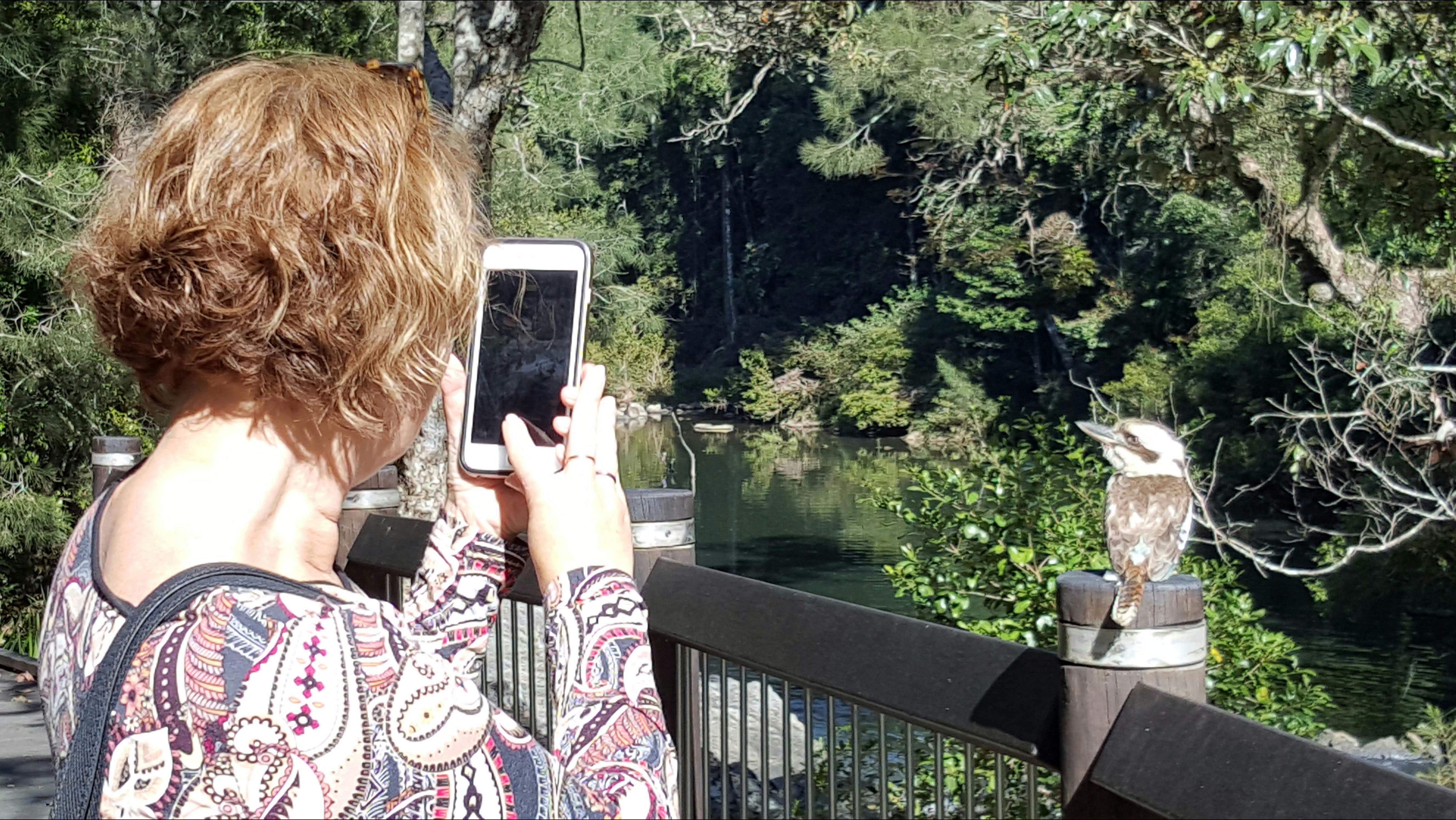 Personalised Private Platypus Land Tour