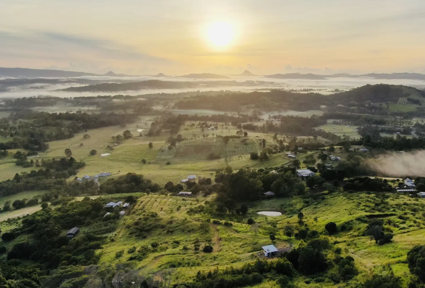 The Avocado Tree Farm view of the Mary Valley