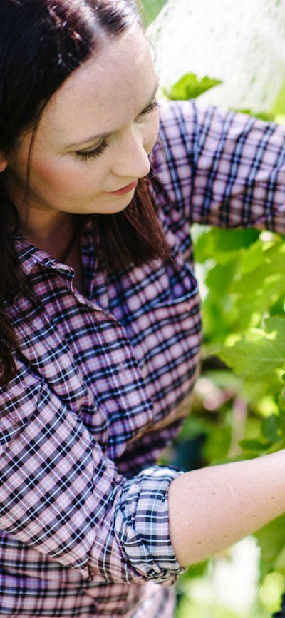 Stephanie examining grapes in the vineyard