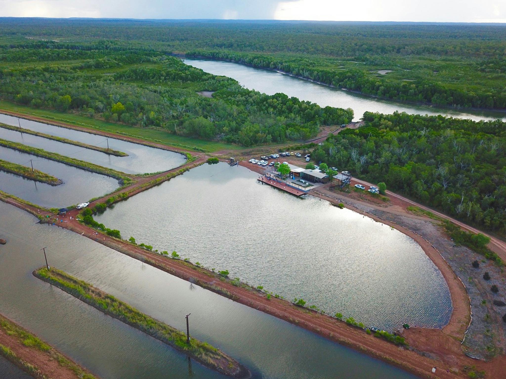Barramundi Adventures Darwin