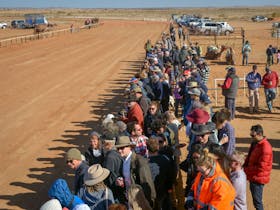 28th Marree Australasian CAMEL CUP 3 July 2021 Cover Image