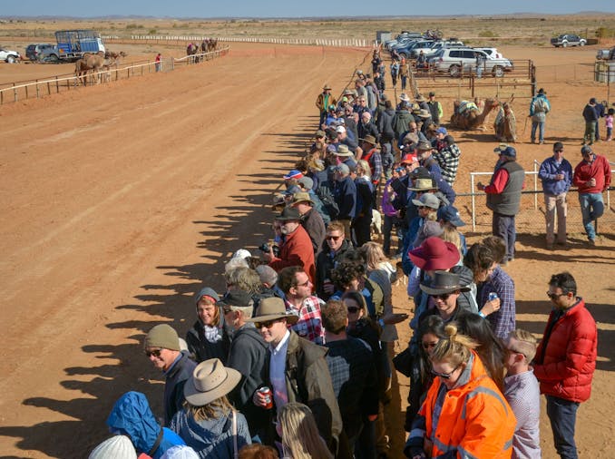 28th Marree Australasian CAMEL CUP 3 July 2021