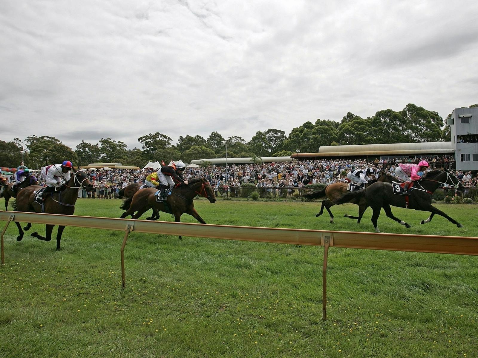 Image for TAB Race Day August