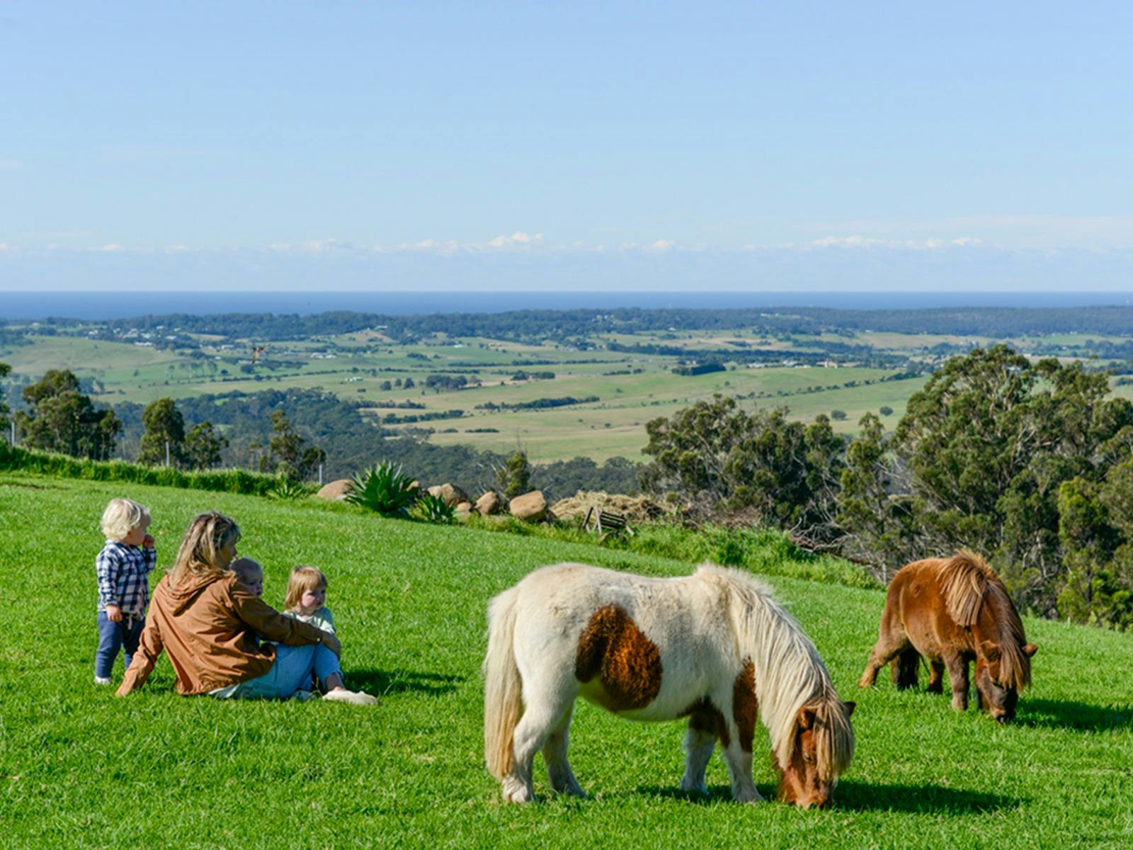 A mother with children and miniature horses with a view over farmland