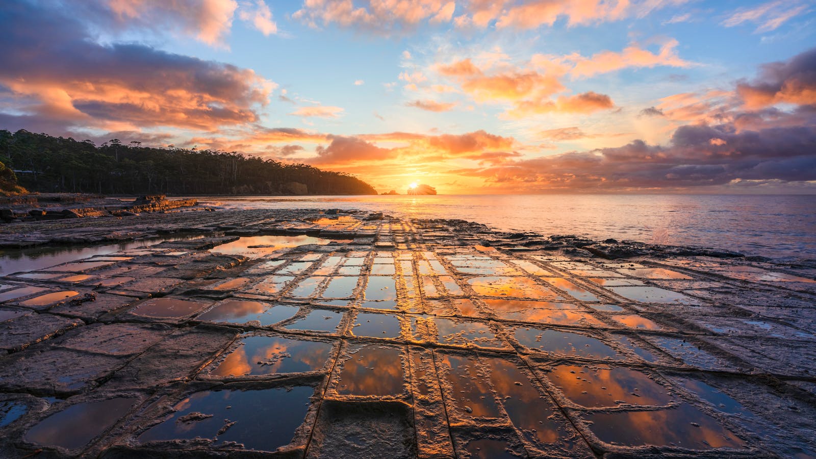 Tessellated Pavement, Tasman Peninsula