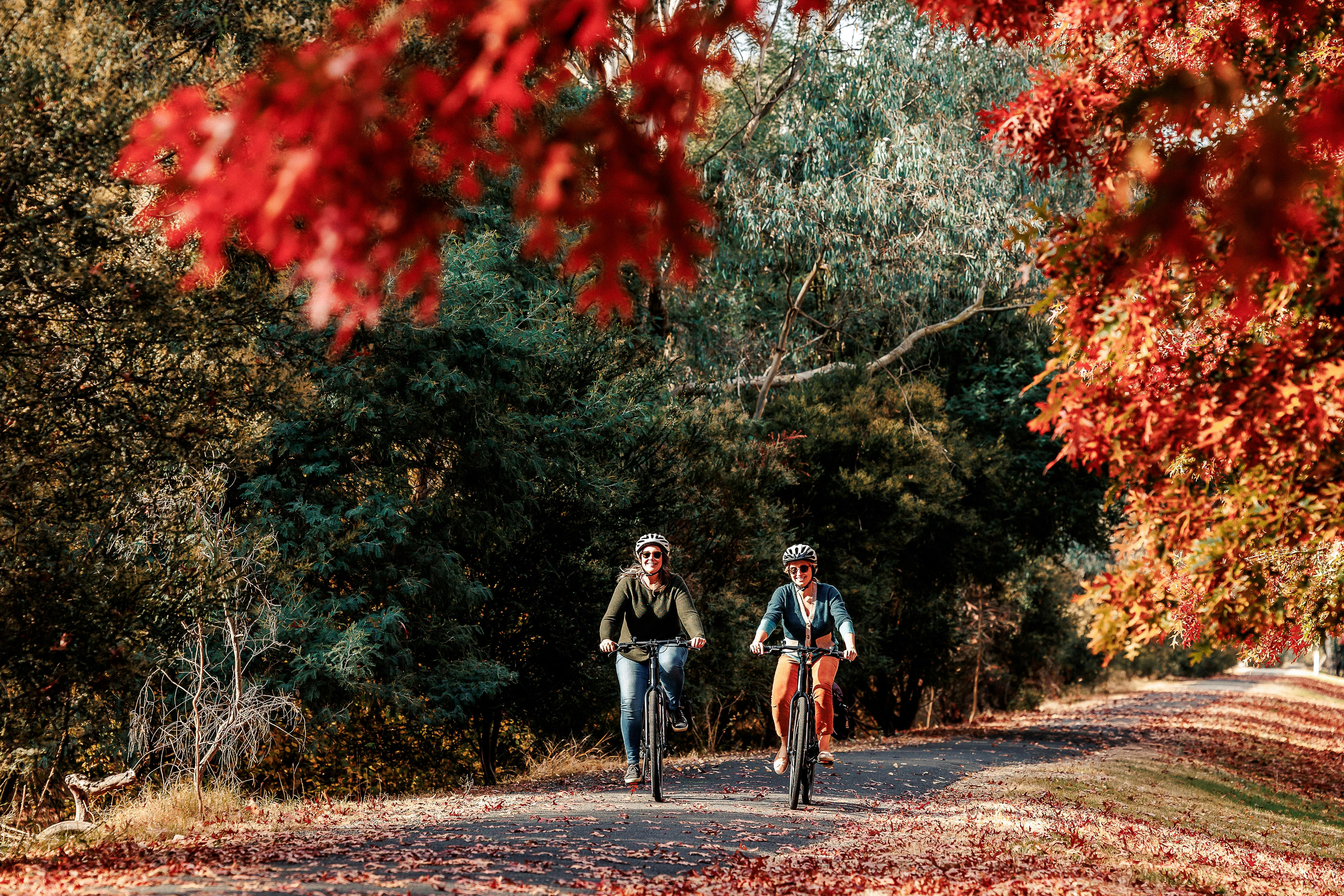 Riding the scenic Murray to Mountains Rail Trail