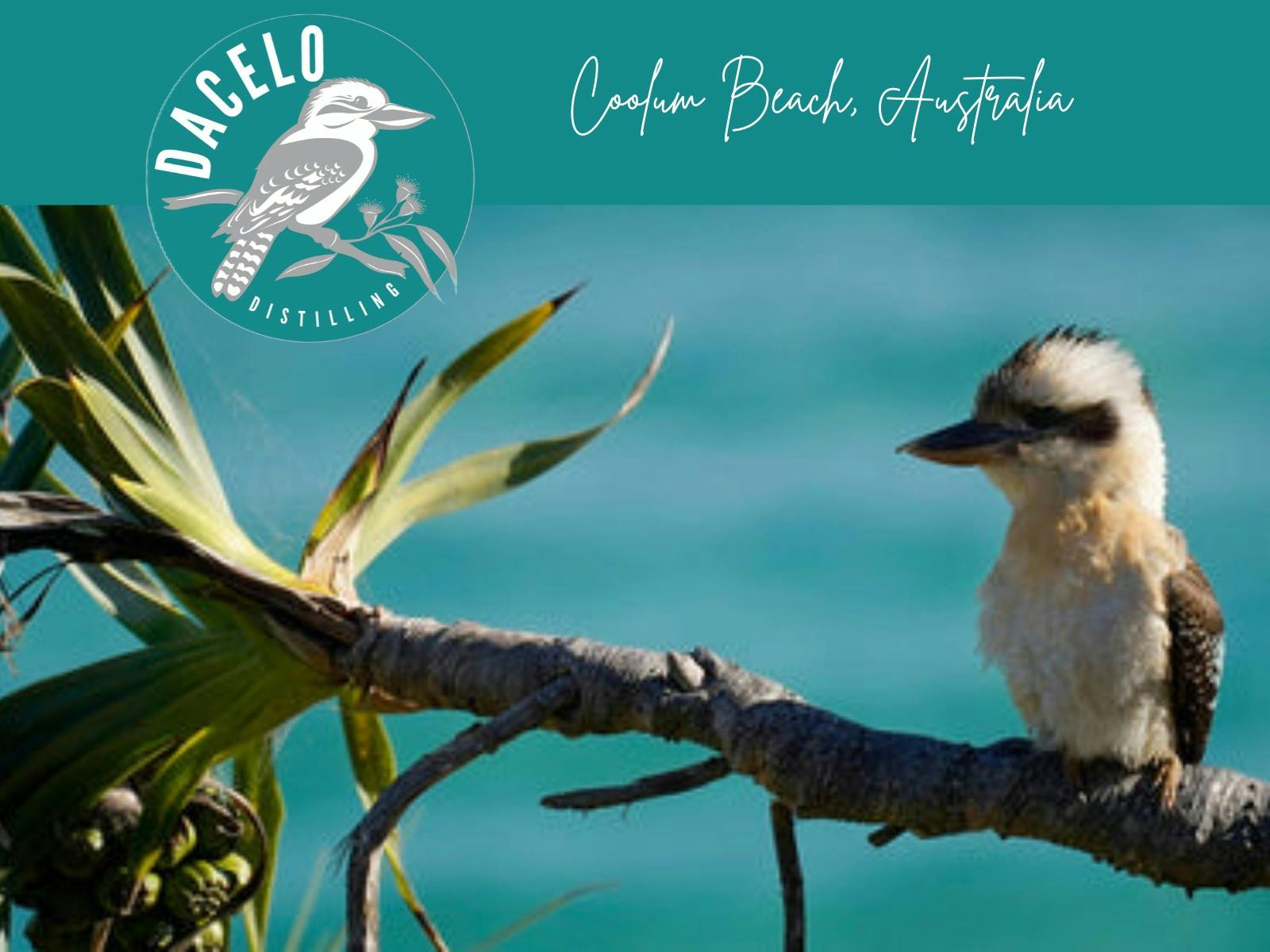 The Spirit of Laughter